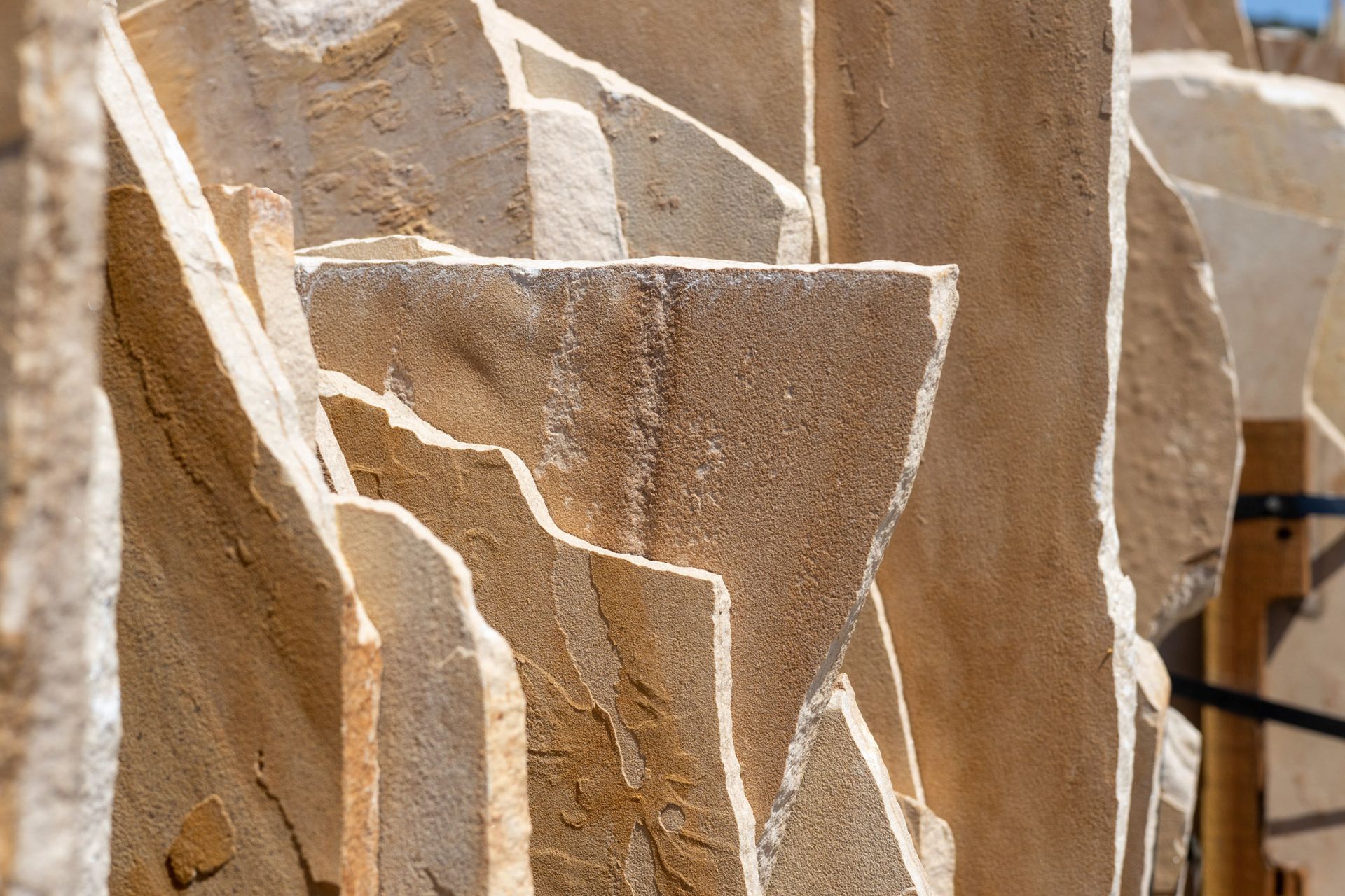 Arizona Buckskin